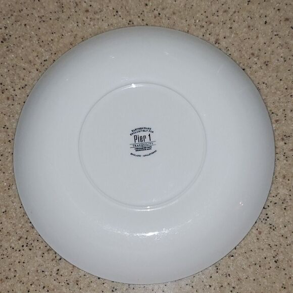 Pier 1 Imports Tranquility Dinner Plate - Picture 2 of 3